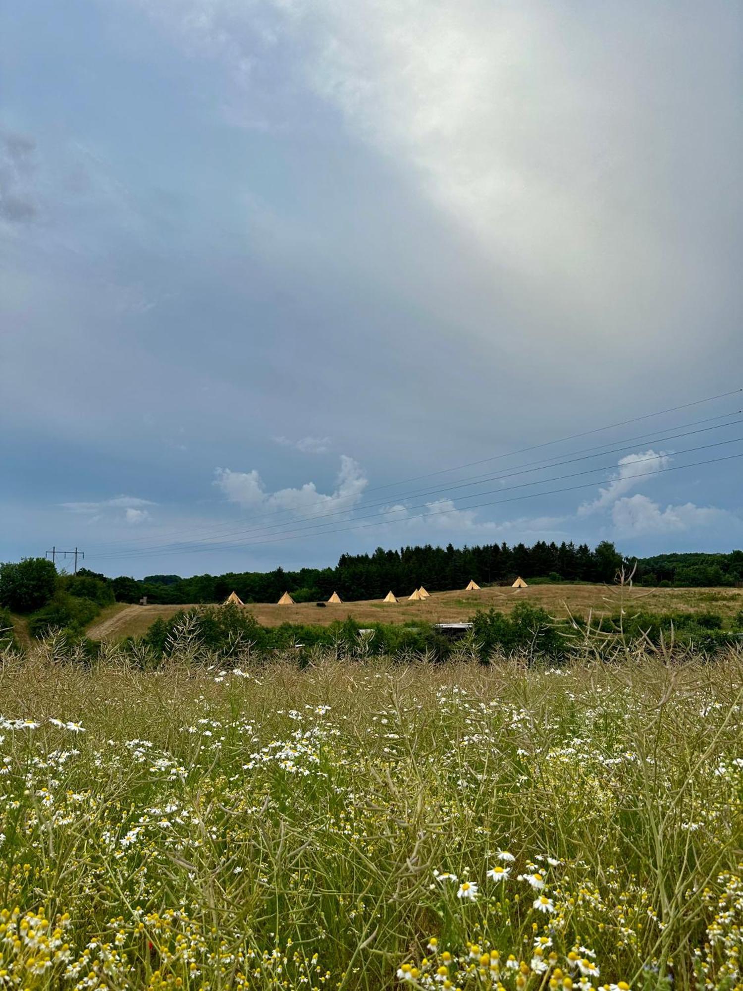 Campsite Krusmolle Glamping Aabenraa