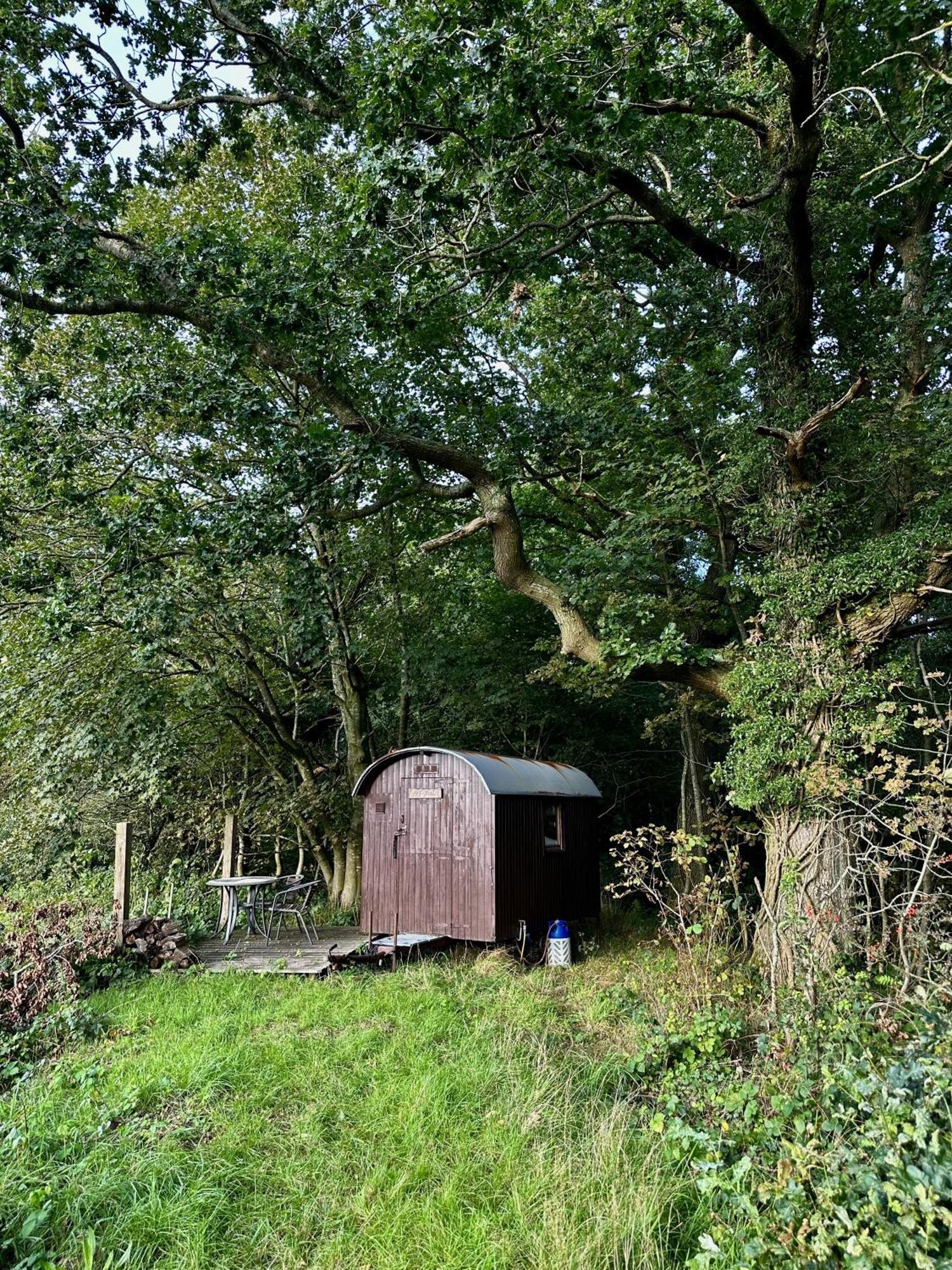 Krusmolle Glamping *